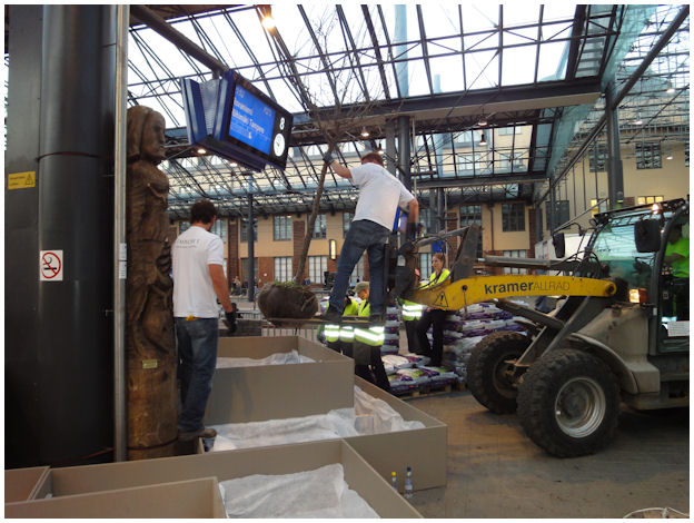 ihmepuutarha_painava_orapihlaja