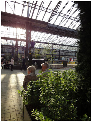 ihmepuutarha_tunnelmallista