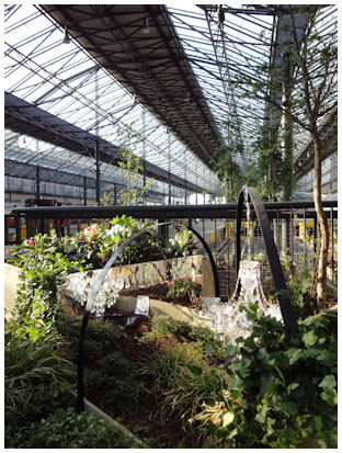 ihmepuutarha_mystista