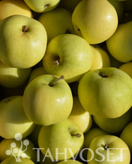 Tuotekuva-NARODNOJE OMENA