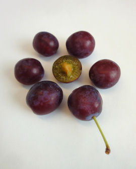 Tuotekuva-PARIKKALAN TUMMALUUMU LUUMU