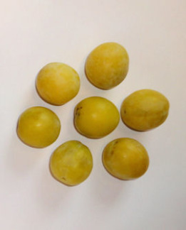 Tuotekuva-SIIVOSEN KELTALUUMU LUUMU