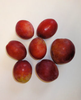 Tuotekuva-VICTORIA LUUMU