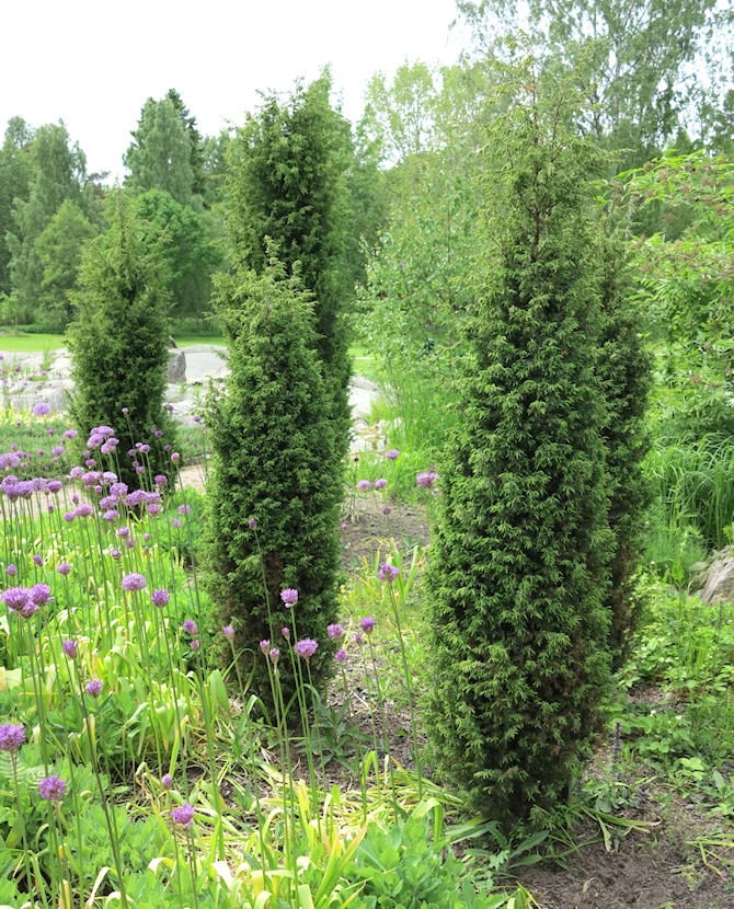 Tuotekuva-SUECICA PILARIKATAJA