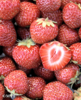 Tuotekuva-SENGA SENGANA MANSIKKA FinE; 10 kpl;box